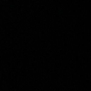 Meet your Posher, Lynne